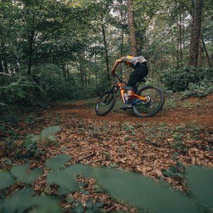 Upper Buffalo Bike Trails - IMBA Epic