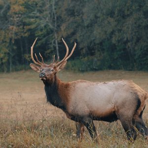 Discover Buffalo National River & Arkansas Top Hiking Trails | Buffalo ...