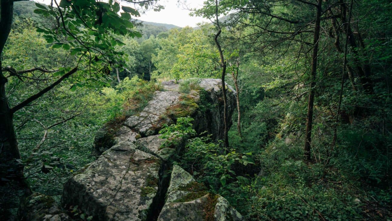 Hike From Ponca To Steel Creek | Buffalo Outdoor Center