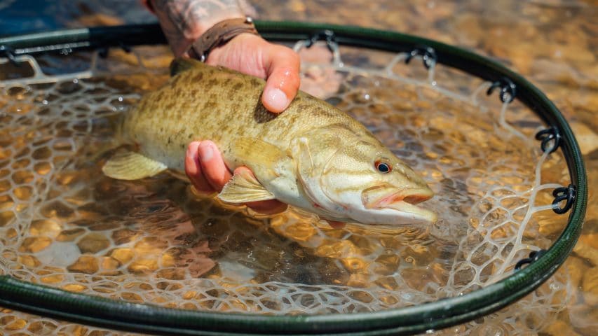 Buffalo River Fishing | Buffalo Outdoor Center