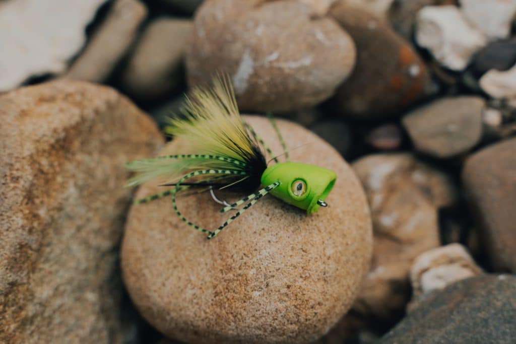 The Best Smallmouth Bass Lures of 2024