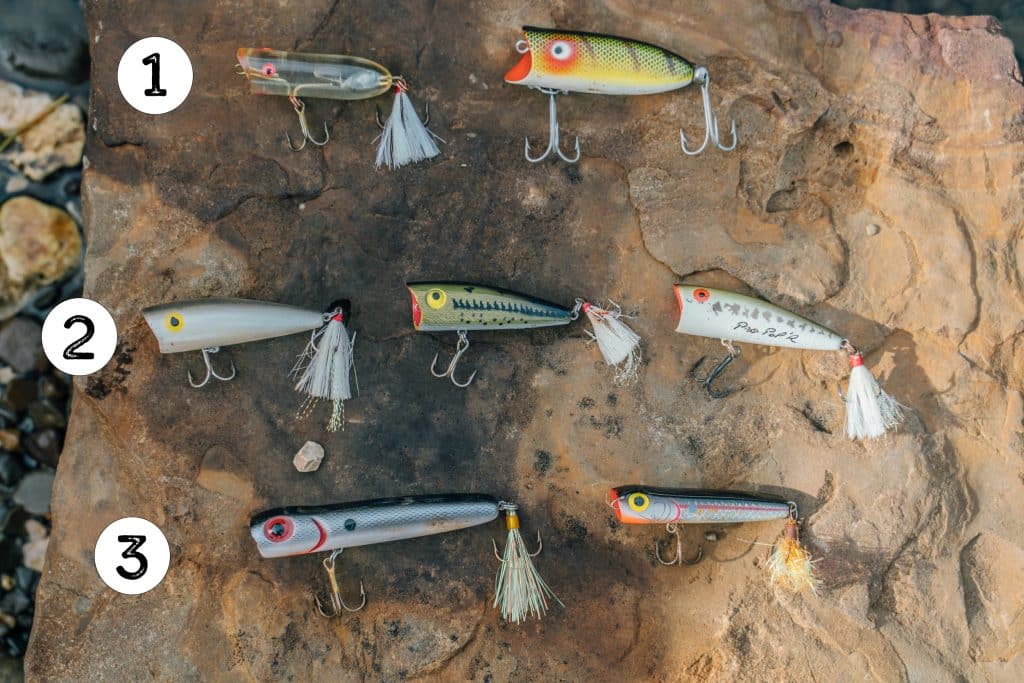 Exciting Fishing Experience with Top Water Lure
