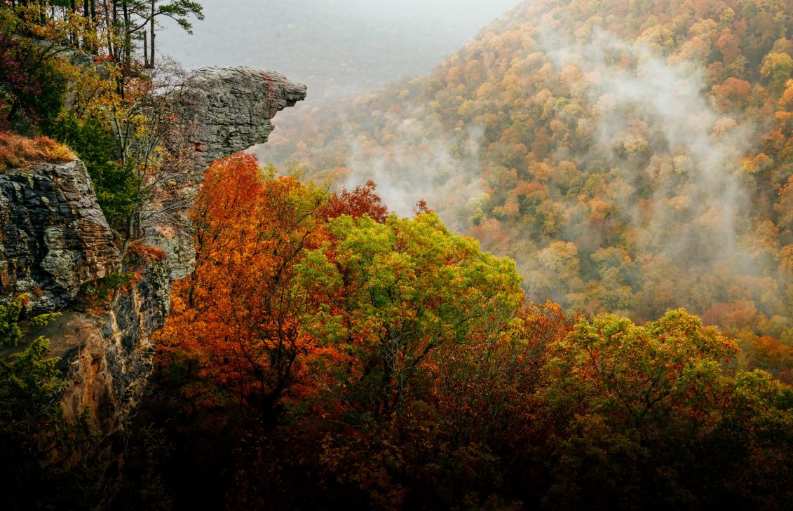 The Center of Buffalo National River Adventure | Buffalo Outdoor Center