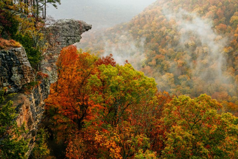 Top Buffalo River Fall Adventure Tips | Buffalo Outdoor Center